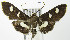  ( - MDH007518)  @13 [ ] Unspecified (default): All Rights Reserved  Unspecified Unspecified