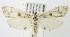  ( - MDH005202)  @13 [ ] Unspecified (default): All Rights Reserved  Unspecified Unspecified