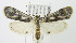  ( - MDH005840)  @14 [ ] Unspecified (default): All Rights Reserved  Unspecified Unspecified
