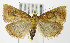 ( - MDH006564)  @13 [ ] Unspecified (default): All Rights Reserved  Unspecified Unspecified