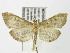  ( - MDH004375)  @14 [ ] Unspecified (default): All Rights Reserved  Unspecified Unspecified