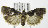  ( - MDH007698)  @14 [ ] Unspecified (default): All Rights Reserved  Unspecified Unspecified