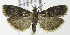  ( - MDH007228)  @13 [ ] Unspecified (default): All Rights Reserved  Unspecified Unspecified