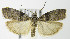  ( - MDH006932)  @14 [ ] Unspecified (default): All Rights Reserved  Unspecified Unspecified