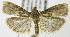  ( - MDH006583)  @13 [ ] Unspecified (default): All Rights Reserved  Unspecified Unspecified