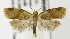  ( - MDH004900)  @14 [ ] Unspecified (default): All Rights Reserved  Unspecified Unspecified