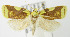  ( - MDH005555)  @15 [ ] Unspecified (default): All Rights Reserved  Unspecified Unspecified