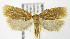  ( - MDH006340)  @13 [ ] Unspecified (default): All Rights Reserved  Unspecified Unspecified