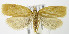  ( - MDH006326)  @13 [ ] Unspecified (default): All Rights Reserved  Unspecified Unspecified