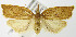  ( - MDH004712)  @14 [ ] Unspecified (default): All Rights Reserved  Unspecified Unspecified
