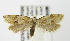  ( - MDH004569)  @13 [ ] Unspecified (default): All Rights Reserved  Unspecified Unspecified