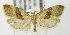  ( - MDH005959)  @13 [ ] Unspecified (default): All Rights Reserved  Unspecified Unspecified