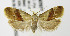  ( - MDH007077)  @14 [ ] Unspecified (default): All Rights Reserved  Unspecified Unspecified