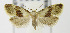  ( - MDH007616)  @14 [ ] Unspecified (default): All Rights Reserved  Unspecified Unspecified
