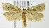  ( - MDH007411)  @13 [ ] Unspecified (default): All Rights Reserved  Unspecified Unspecified