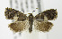  ( - MDH005525)  @13 [ ] Unspecified (default): All Rights Reserved  Unspecified Unspecified