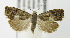  ( - MDH005537)  @13 [ ] Unspecified (default): All Rights Reserved  Unspecified Unspecified