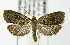  ( - MDH007037)  @14 [ ] Unspecified (default): All Rights Reserved  Unspecified Unspecified