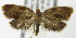  ( - MDH007051)  @13 [ ] Unspecified (default): All Rights Reserved  Unspecified Unspecified