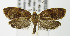  ( - MDH003248)  @13 [ ] Unspecified (default): All Rights Reserved  Unspecified Unspecified
