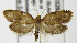 ( - MDH003262)  @13 [ ] Unspecified (default): All Rights Reserved  Unspecified Unspecified