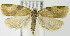  ( - MDH005496)  @14 [ ] Unspecified (default): All Rights Reserved  Unspecified Unspecified