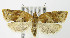  ( - MDH004579)  @14 [ ] Unspecified (default): All Rights Reserved  Unspecified Unspecified