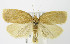  ( - MDH004612)  @13 [ ] Unspecified (default): All Rights Reserved  Unspecified Unspecified