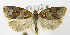  ( - MDH005519)  @14 [ ] Unspecified (default): All Rights Reserved  Unspecified Unspecified