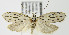 ( - MDH006825)  @13 [ ] Unspecified (default): All Rights Reserved  Unspecified Unspecified