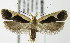  ( - MDH006779)  @14 [ ] Unspecified (default): All Rights Reserved  Unspecified Unspecified
