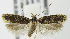  ( - MDH006772)  @13 [ ] Unspecified (default): All Rights Reserved  Unspecified Unspecified