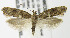  ( - MDH006732)  @14 [ ] Unspecified (default): All Rights Reserved  Unspecified Unspecified