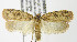  ( - MDH006751)  @14 [ ] Unspecified (default): All Rights Reserved  Unspecified Unspecified
