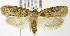  ( - MDH006741)  @14 [ ] Unspecified (default): All Rights Reserved  Unspecified Unspecified