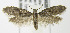  ( - MDH006525)  @14 [ ] Unspecified (default): All Rights Reserved  Unspecified Unspecified