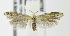  ( - MDH007753)  @14 [ ] Unspecified (default): All Rights Reserved  Unspecified Unspecified