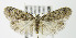  ( - MDH006022)  @14 [ ] Unspecified (default): All Rights Reserved  Unspecified Unspecified
