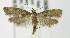  ( - MDH003650)  @14 [ ] Unspecified (default): All Rights Reserved  Unspecified Unspecified