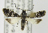  ( - MDH00A002)  @13 [ ] Unspecified (default): All Rights Reserved  Unspecified Unspecified