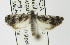  ( - MDH00A003)  @13 [ ] Unspecified (default): All Rights Reserved  Unspecified Unspecified