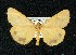  ( - BCSC100)  @13 [ ] Unspecified (default): All Rights Reserved  Unspecified Unspecified