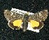  ( - BCSC103)  @12 [ ] Unspecified (default): All Rights Reserved  Unspecified Unspecified