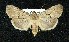  ( - BCSC123)  @14 [ ] Unspecified (default): All Rights Reserved  Unspecified Unspecified
