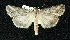  ( - BCSC124)  @14 [ ] Unspecified (default): All Rights Reserved  Unspecified Unspecified