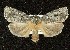 ( - BCSC127)  @14 [ ] Unspecified (default): All Rights Reserved  Unspecified Unspecified