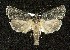  ( - BCSC128)  @14 [ ] Unspecified (default): All Rights Reserved  Unspecified Unspecified