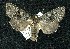  ( - BCSC133)  @14 [ ] Unspecified (default): All Rights Reserved  Unspecified Unspecified