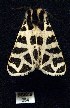  ( - BCSC254)  @12 [ ] Unspecified (default): All Rights Reserved  Unspecified Unspecified