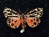  ( - BCSC352)  @13 [ ] Unspecified (default): All Rights Reserved  Unspecified Unspecified